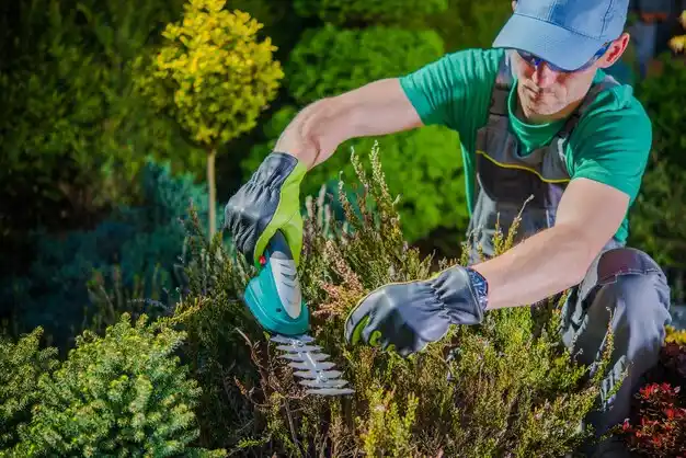 landscaping services Racine